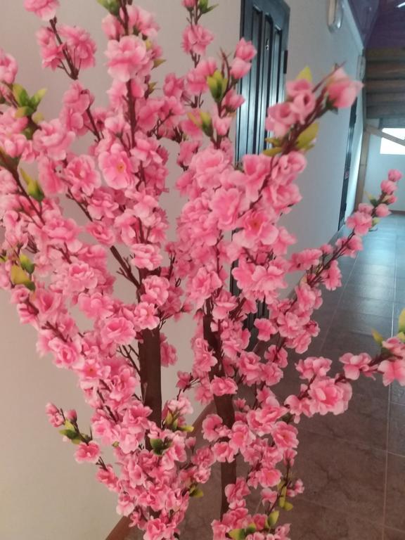 Guest House Arbat Cholpon-Ata Bagian luar foto